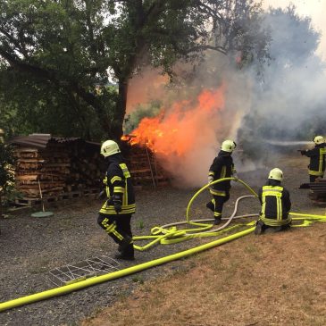 Einsatz #120/2018 F WALD 1