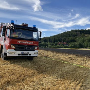 Einsatz #100/2023 F WALD 1