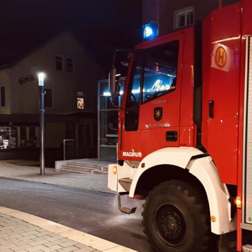 Einsatz #197/2024 H 1