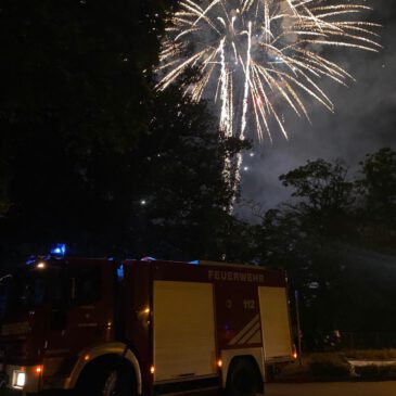 Einsatz #177/2024 BSD