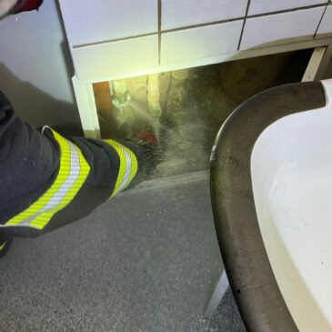 Einsatz #256/2024 H 1